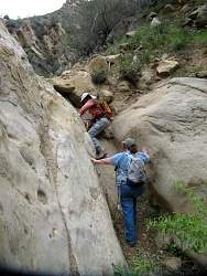 IMG_4183.jpg