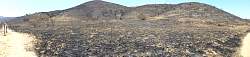 20130518_130938pan.jpg