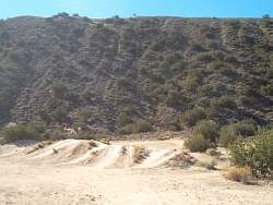 SAM_1245.jpg
