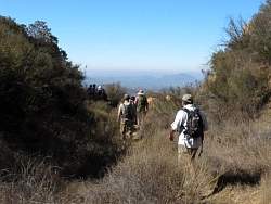 IMG_5716.jpg