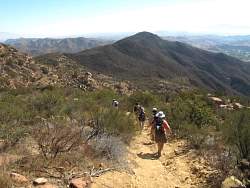 IMG_5725.jpg
