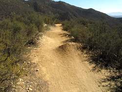 IMG_5742.jpg