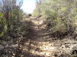 IMG_6258.jpg