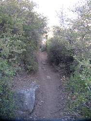 IMG_6267.jpg