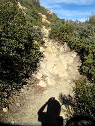 IMG_6291.jpg