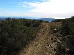 IMG_6294.jpg