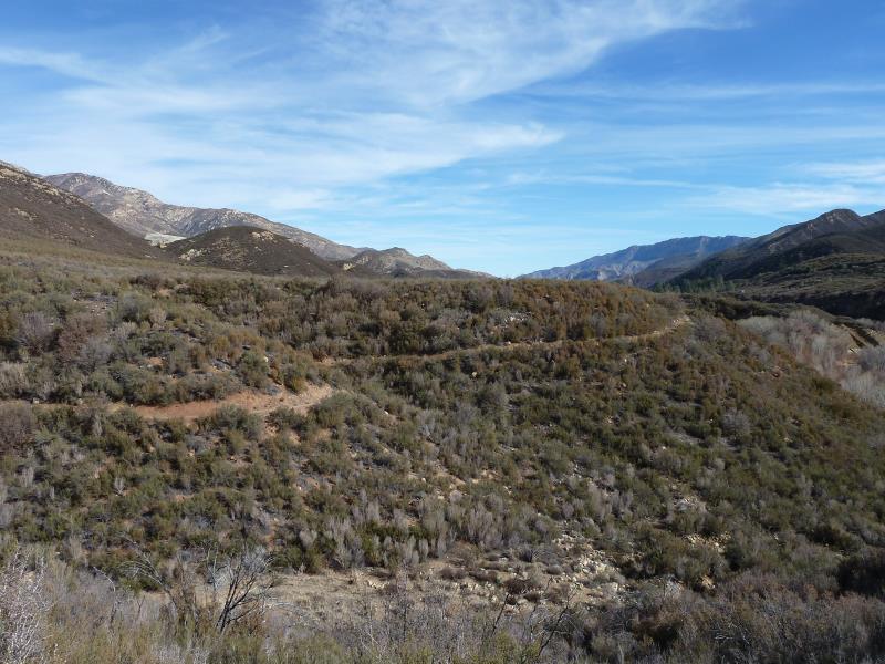 P1260194.jpg