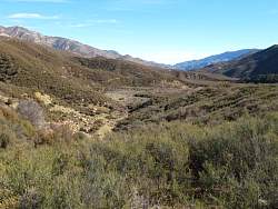 IMG_6332.jpg