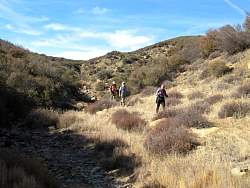 IMG_6335.jpg