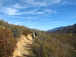 IMG_6340.jpg