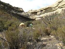 IMG_6362.jpg