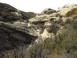 IMG_6372.jpg