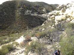 IMG_6375.jpg