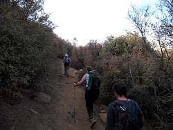IMG_6399.jpg