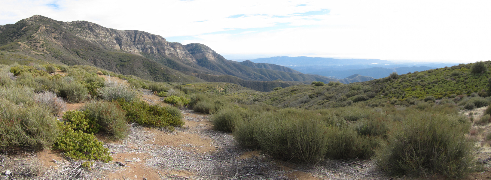 img_6464pan.jpg