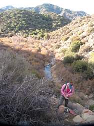 IMG_6415.jpg