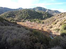 IMG_6416.jpg
