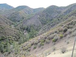 IMG_6451.jpg