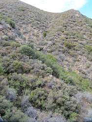IMG_6454.jpg