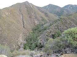 IMG_6455.jpg