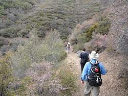 IMG_6456.jpg