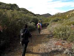 IMG_6468.jpg