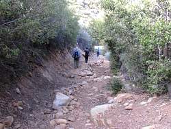 IMG_6472.jpg