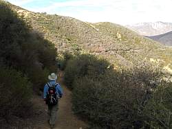 IMG_6475.jpg