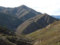 IMG_6492.jpg