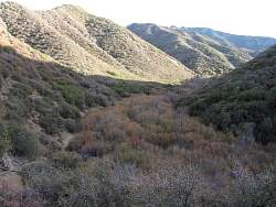 IMG_6500.jpg