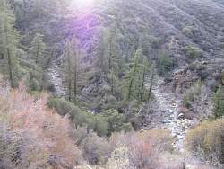 IMG_6503.jpg