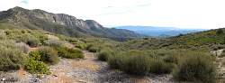 img_6464pan.jpg