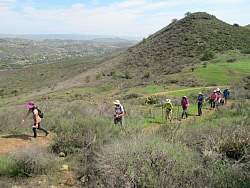 IMG_6674.jpg
