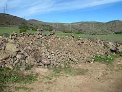 IMG_9787.jpg