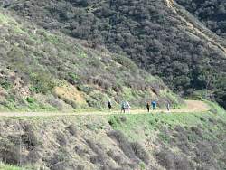 IMG_9793.jpg