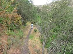 IMG_0925.jpg