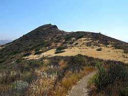 IMG_0944.jpg