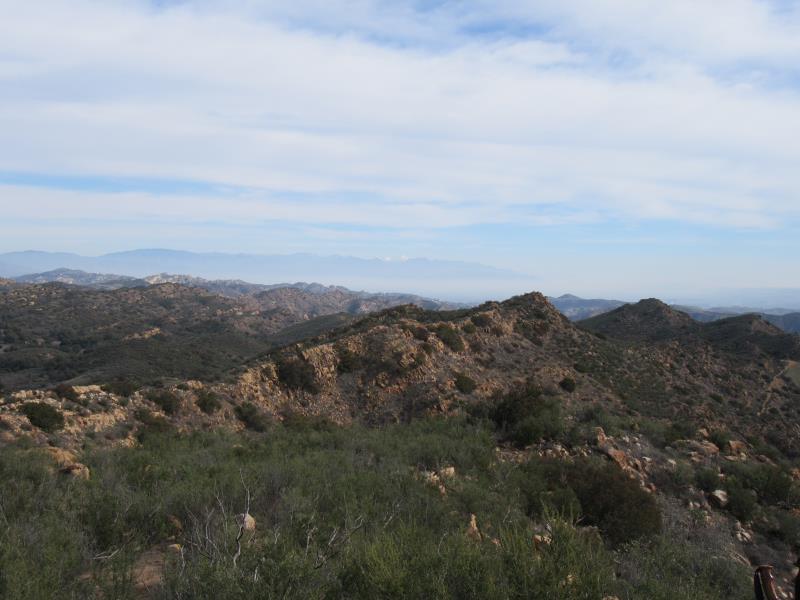 IMG_1690.jpg