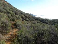 IMG_1652.jpg