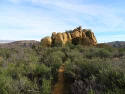 IMG_1657.jpg
