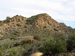 IMG_1685.jpg