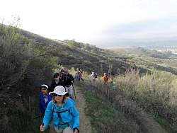 IMG_1808.jpg