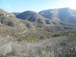 IMG_1814.jpg