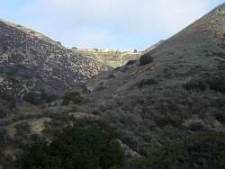 IMG_1827.jpg