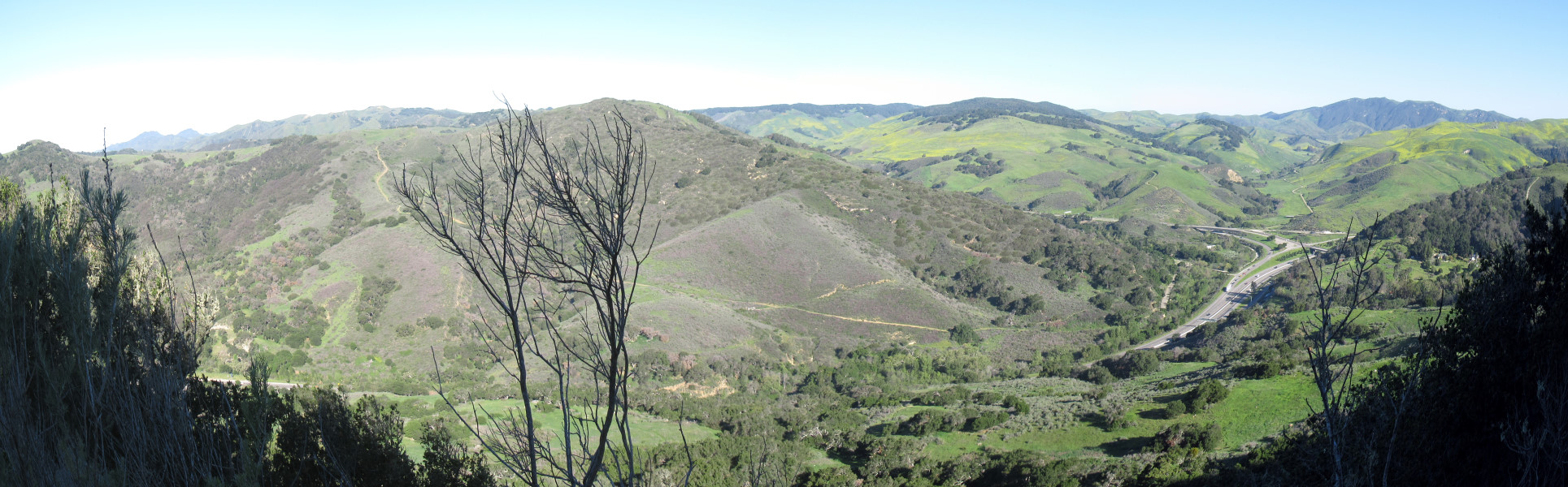 IMG_2232_stitch.jpg