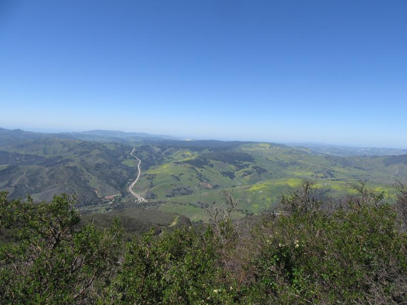 IMG_2321.jpg