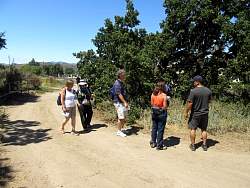 IMG_3796.jpg