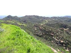 IMG_5750.jpg