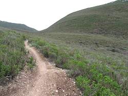 IMG_5852.jpg