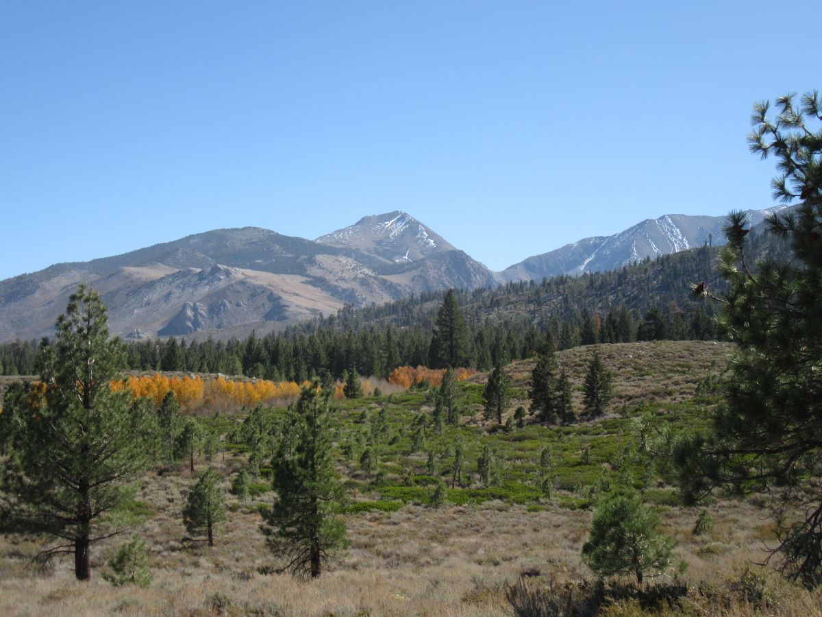 IMG_7208.jpg